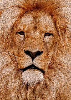 lion oil painting