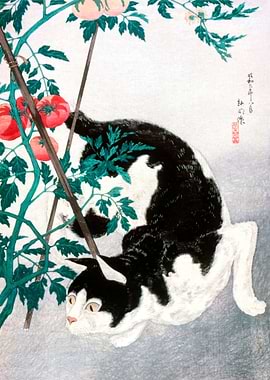 Hiroaki Takahashi Vintage