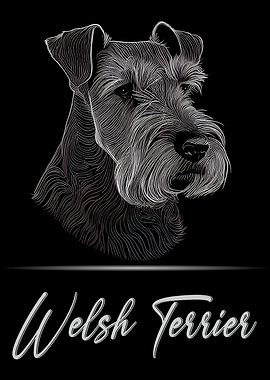 Welsh Terrier