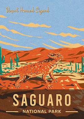 Saguaro National Park