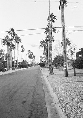 Palm Springs Street 35mm