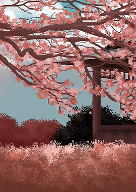 Sakura Cherry Blossom Tree