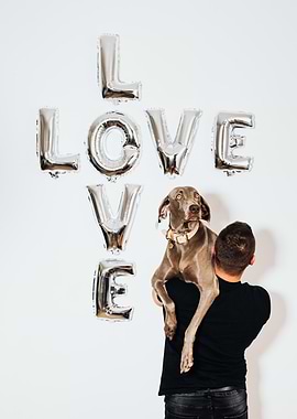 Love your pet