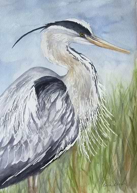 Blue Heron Watercolor