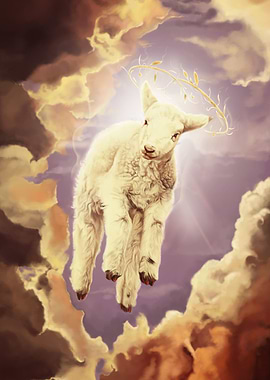 Holy Lamb