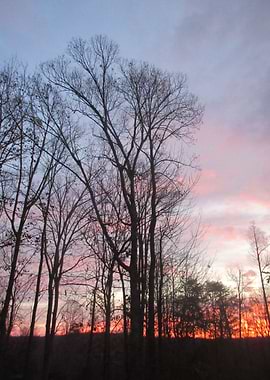 Georgia Country Sunset