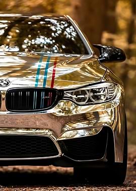 BMW Forest Drive