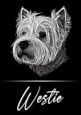 Westie