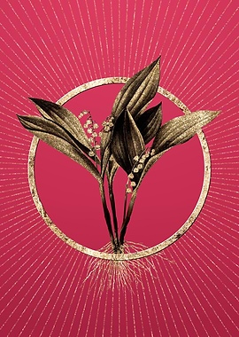 Gold Lily of the Valley