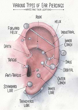 Watercolor Piercings Chart