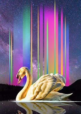 Swan Light
