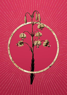 Gold Lilium Pyrenaicum