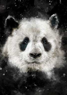 Panda Head