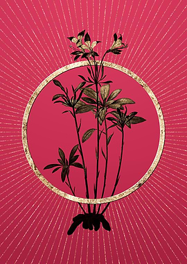 Gold Lily of the Incas