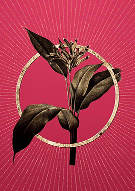 Viva Magenta Lobster Claws