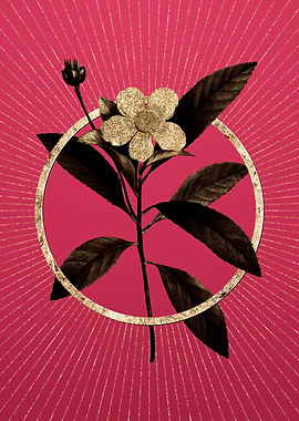 Viva Magenta Loblolly Bay