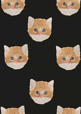 Cute yellow cat head black