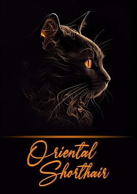 Oriental Shorthair