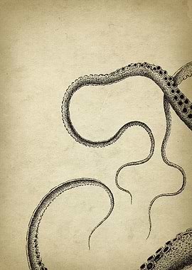 Octopus tentacles piece 1