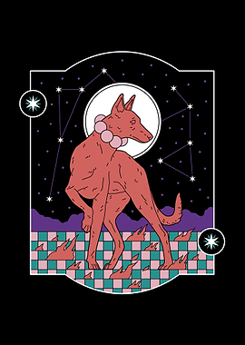 Constellations dog
