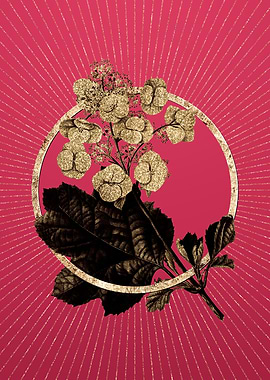 Gold Oakleaf Hydrangea