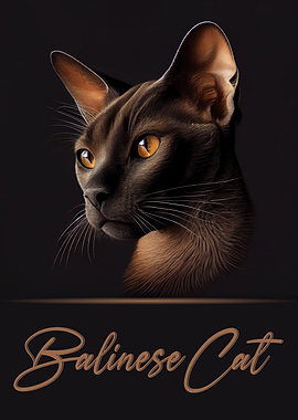 Balinese Cat Portrait