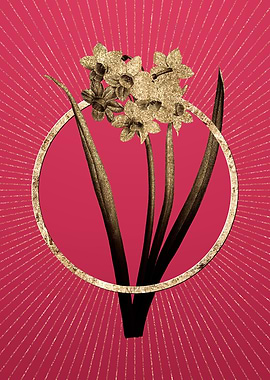 Narcissus Easter Flower