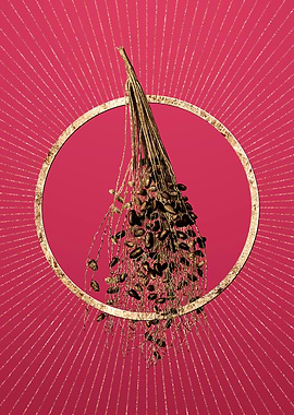 Gold Spadice of the Palm