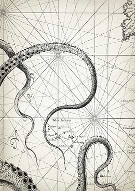 Octopus Map Art Part 3