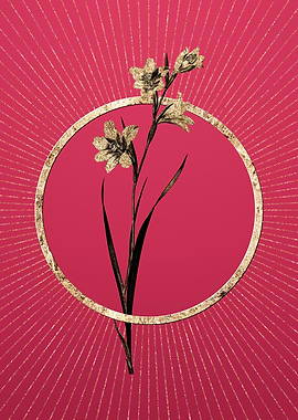 Viva Magenta Painted Lady