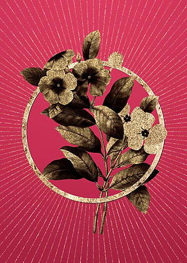 Periwinkle on Viva Magenta