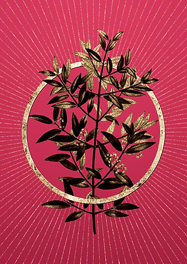 Gold Phillyrea Tree Branch