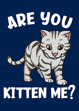 Are You Kitten Me