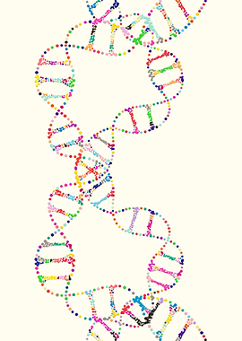 Dna double helix genetics