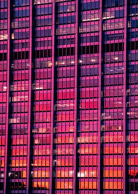 Windows at Golden Hour