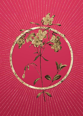 Gold Phlox on Viva Magenta