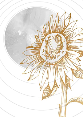 The Beauty of Sunflowers