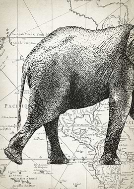 Elephant body piece 1