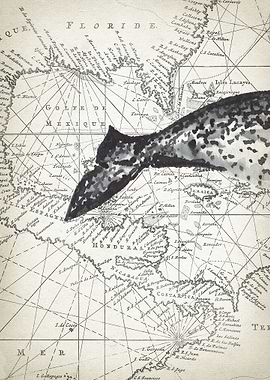 narwhal tail piece 2