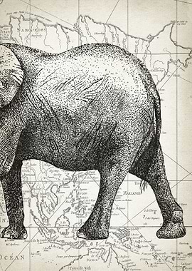 Elephant body piece 3