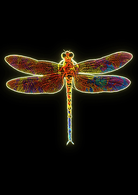 Dragonfly