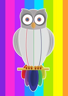 Rainbow Owl