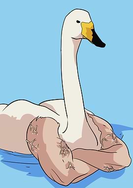 muscular goose