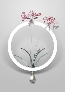 Vintage Nerine Flower Art