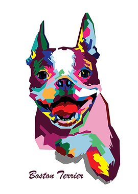 Boston Terrier in WPAP