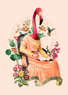 Flamingo Reading
