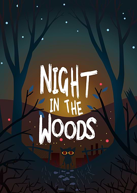 Night In The Woods