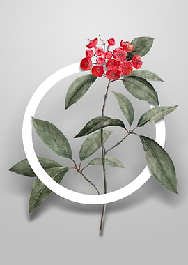 Mountain Laurel Branch Art