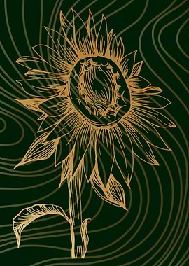 Bursts of Sunflower Beauty