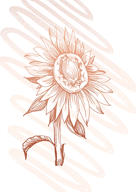 Warmth of Sunflowers